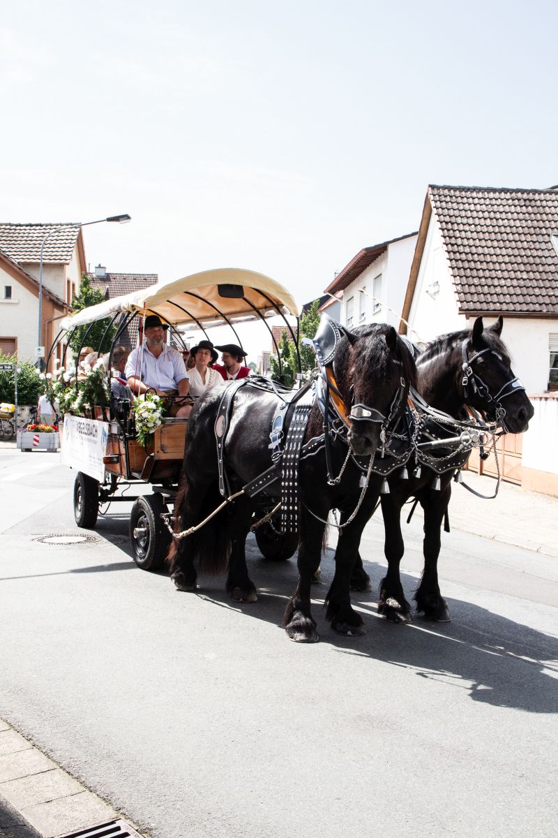 Umzug_750JE_112 Umzug_750JE_112