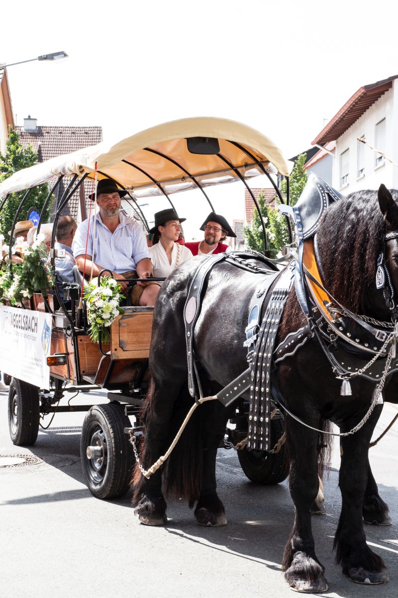 Umzug_750JE_113 Umzug_750JE_113