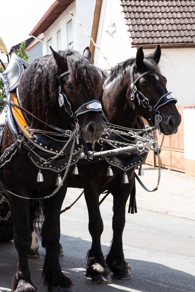 Umzug_750JE_114 Umzug_750JE_114